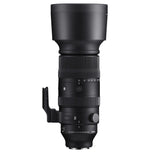 SIGMA 60-600mm telephoto zoom lens for Sony mirrorless