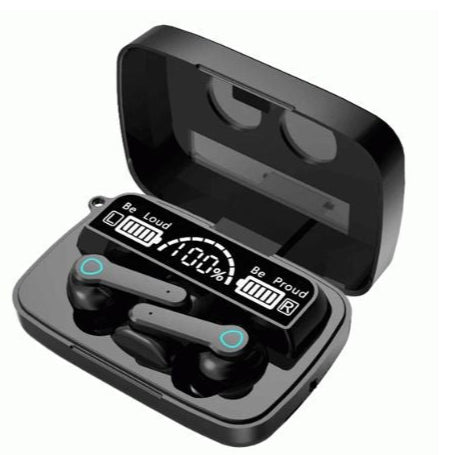 M19 earbuds in black charging case, open lid with two earbuds inside