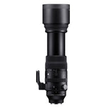 Professional wildlife and sports photography lens SIGMA 150-600mm
