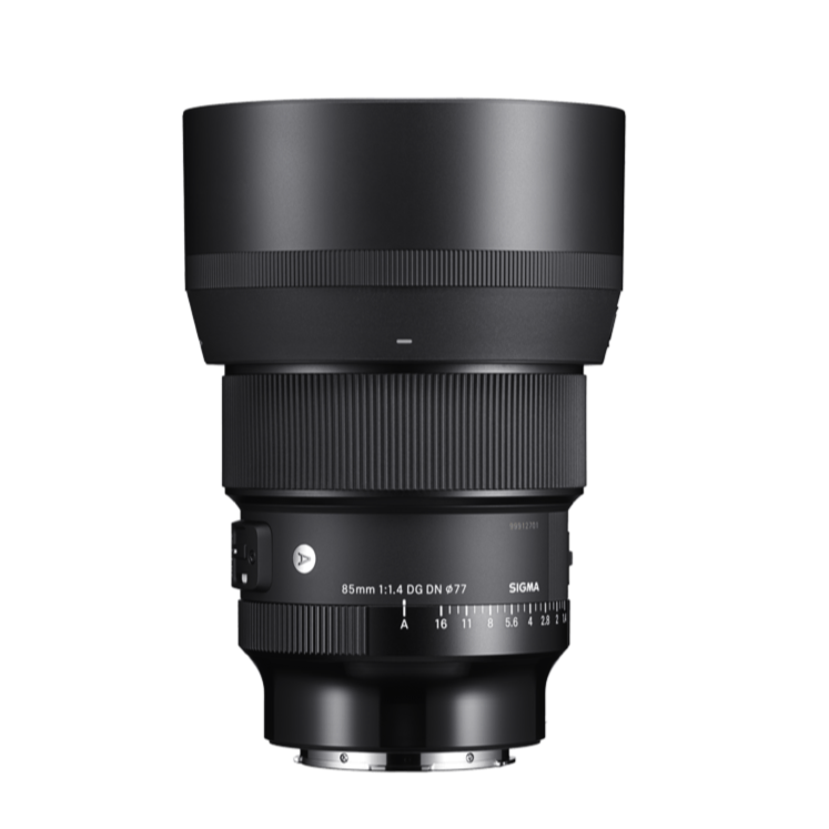 Buy SIGMA 85MM F1.4 DG DN Art Lens for portrait photography